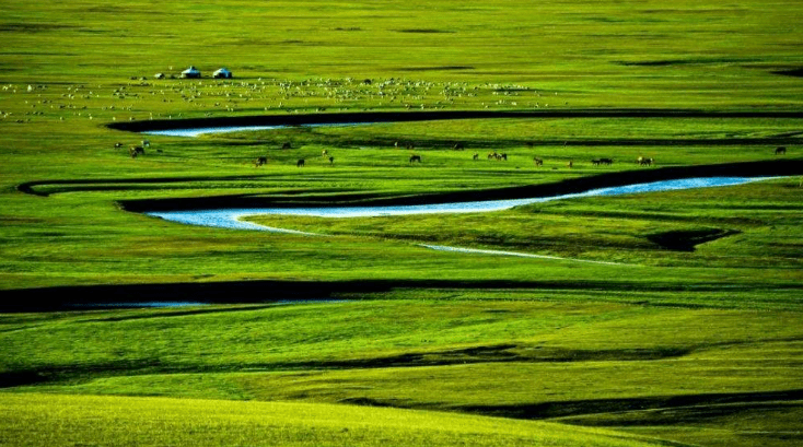 生肖猜谜乐无穷,精准预测藏陷阱—从四体不勤吃绿草看伪宣传的欺骗性 生肖猜谜乐无穷,精准预测藏陷阱—从四体不勤吃绿草看伪宣传的欺骗性