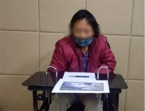 石潭波动戏鱼龙,解码生肖蛇的玄机—新颖释义、专家解析与远离欺骗迷雾的实践之道 石潭波动戏鱼龙,解码生肖蛇的玄机—新颖释义、专家解析与远离欺骗迷雾的实践之道