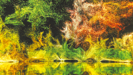 龙行绿水向东行生肖谜解，从自然意象到文化密码的创新解读与现实启示