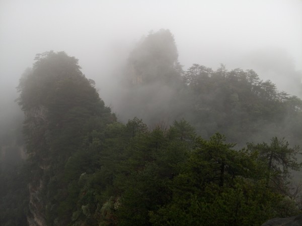 一九日出十光明,千山万水都走遍生肖解谜,专家深度解析与防骗指南 一九日出十光明,千山万水都走遍生肖解谜,专家深度解析与防骗指南