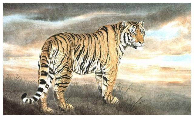 秋霜木落断魂处,生肖玄机藏其中—谩怅望谁招断魂,正高秋霜晴木落的深度解读与文化落实 秋霜木落断魂处,生肖玄机藏其中—谩怅望谁招断魂,正高秋霜晴木落的深度解读与文化落实