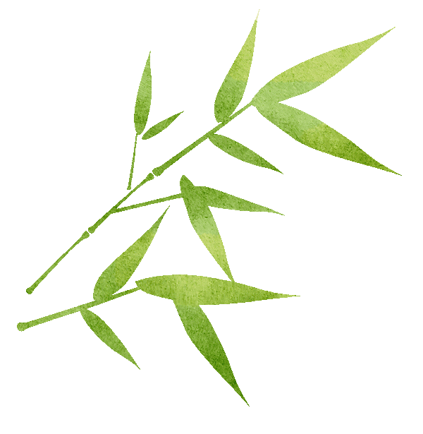 十五天涯共月明,七星高照与竹绿吟风生肖的文化解码及动态效能解析 十五天涯共月明,七星高照与竹绿吟风生肖的文化解码及动态效能解析