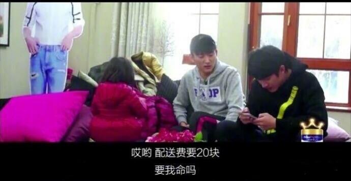 犄角弯弯食青草，生肖牛的谜语解码与科技人文双重解析