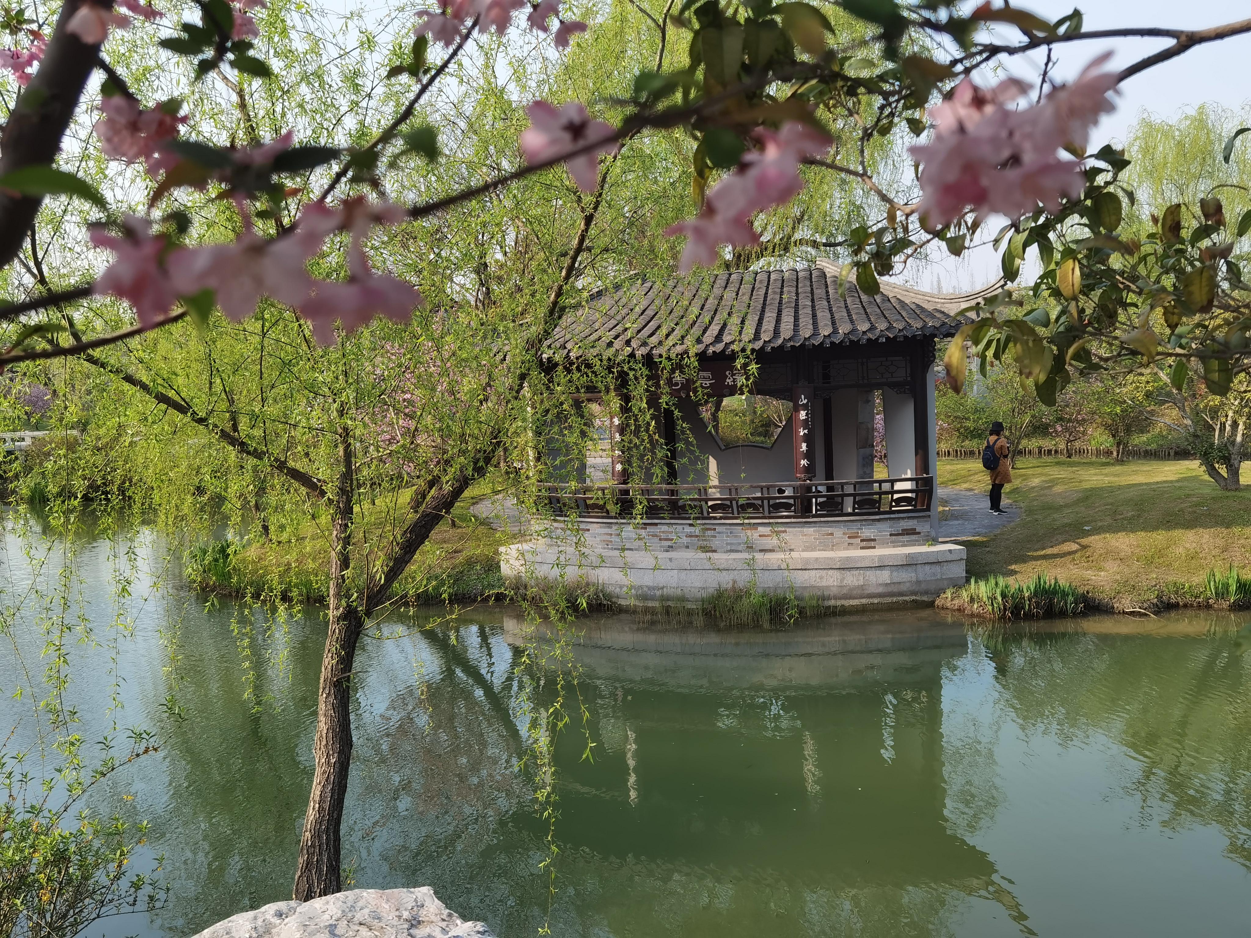 觉来知是梦，不胜悲，生肖兔的情劫隐喻与现实破局之道