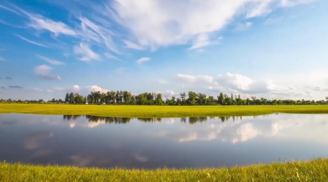 依旧桃花面,频低柳叶眉,生肖兔的柔情密码与文化深层解读 依旧桃花面,频低柳叶眉,生肖兔的柔情密码与文化深层解读