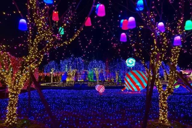 月作明灯夜夜光,生肖兔的隐藏痛点与破局指南 月作明灯夜夜光,生肖兔的隐藏痛点与破局指南