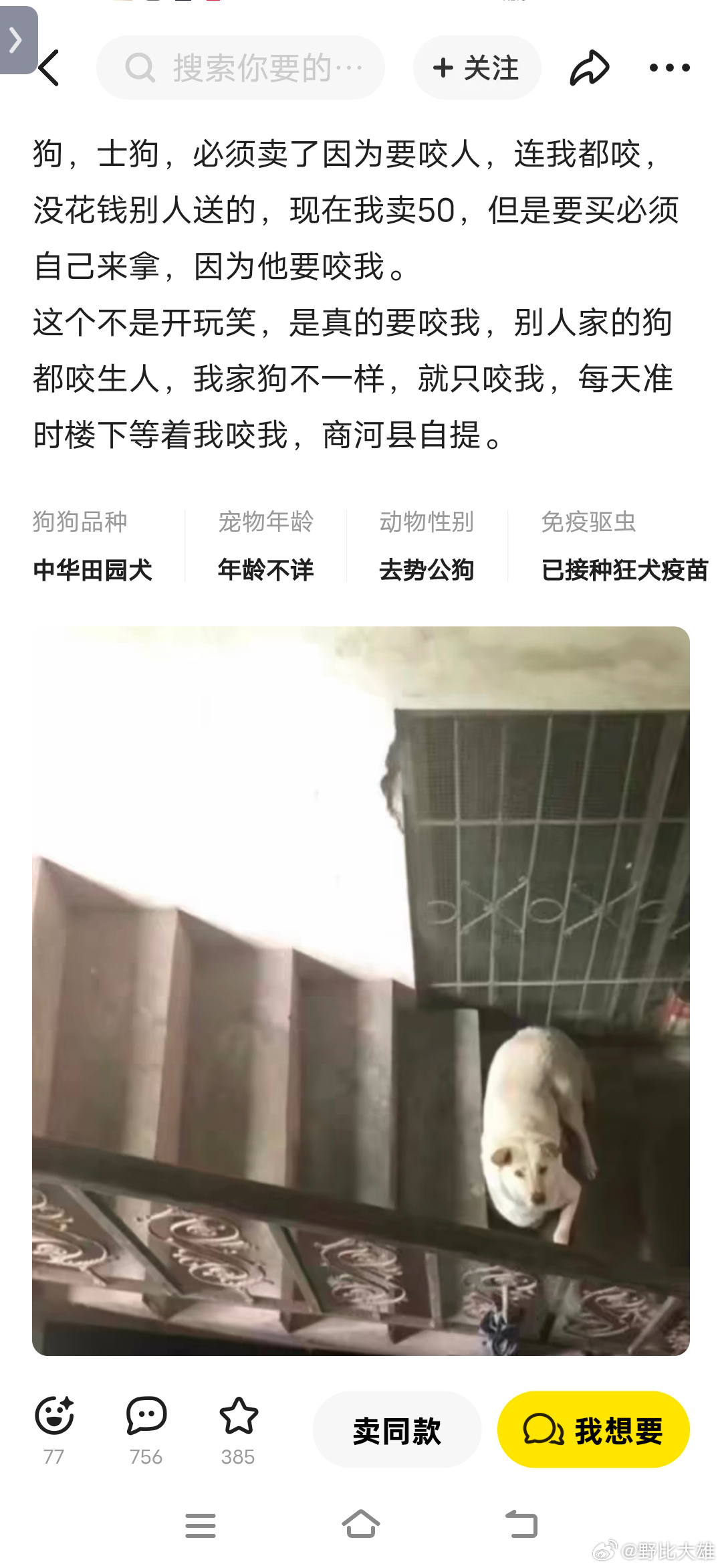 生肖猜谜深度解析,从今期买狗输尽光,有去无来不成理看传统文化中的逻辑与智慧 生肖猜谜深度解析,从今期买狗输尽光,有去无来不成理看传统文化中的逻辑与智慧