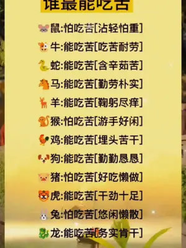 从一三北望到炮竹震天，生肖密码的精准解读与文化落实