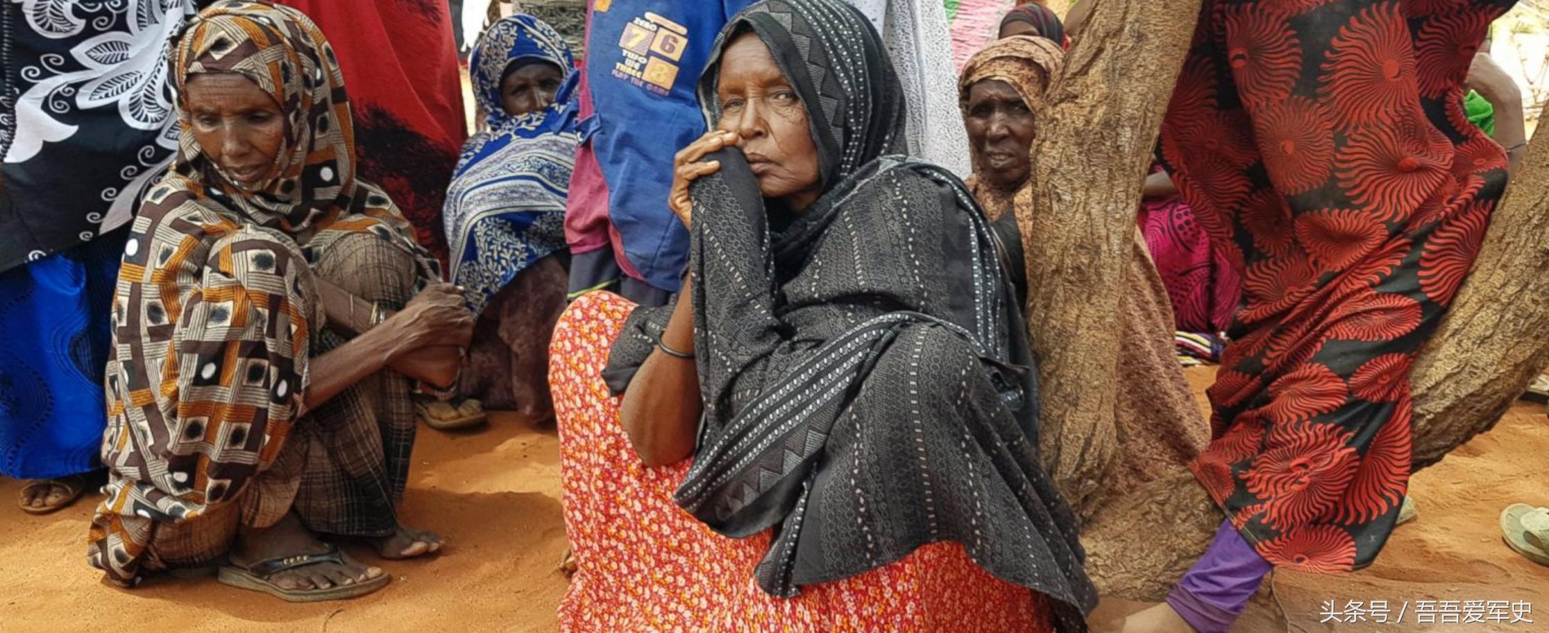 迷途羔羊入农户生肖谜解,从文化密码到承诺治理的现实路径 迷途羔羊入农户生肖谜解,从文化密码到承诺治理的现实路径