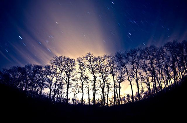 月作明灯夜夜光,生肖兔的隐藏痛点与破局指南 月作明灯夜夜光,生肖兔的隐藏痛点与破局指南