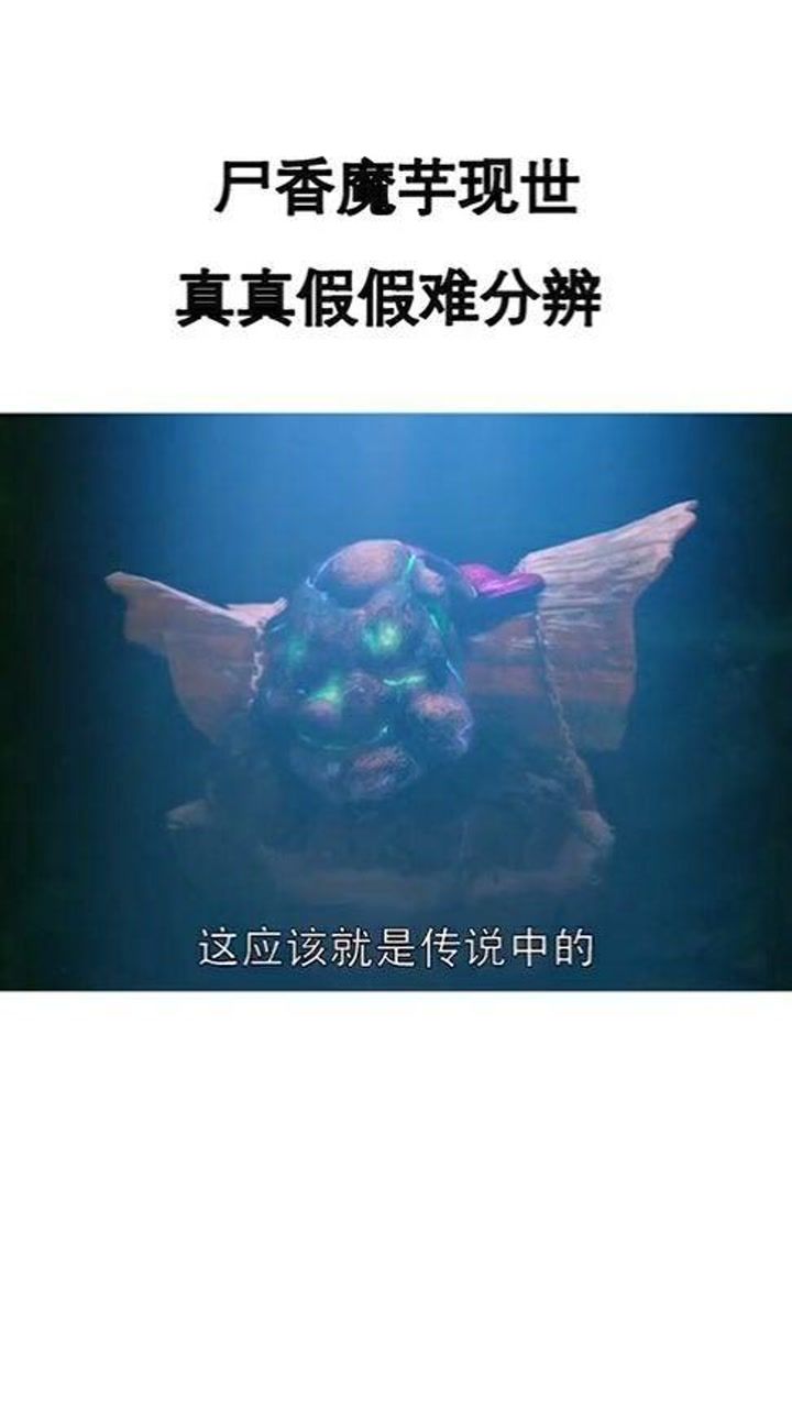 枕上分明梦见,真假梦境诱导背后,我们该如何筑牢心理防线? 枕上分明梦见,真假梦境诱导背后,我们该如何筑牢心理防线?