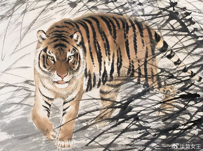 趋火打劫虎行处,生肖虎的智慧新解与时代启示 趋火打劫虎行处,生肖虎的智慧新解与时代启示