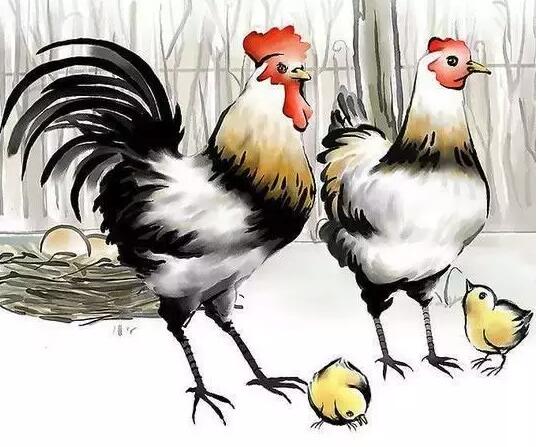 鸡飞羊跳野狼追,天凤飞上蓝天飘—生肖鸡文化热点的精准释义、专家解析与现代落地 鸡飞羊跳野狼追,天凤飞上蓝天飘—生肖鸡文化热点的精准释义、专家解析与现代落地