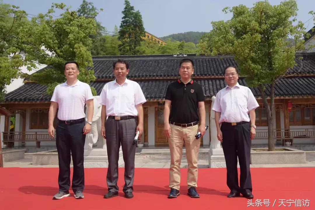 鸡飞羊跳野狼追，天凤飞上蓝天飘生肖痛点深度解析，文化溯源、专家视角与落地路径，拒绝虚假承诺