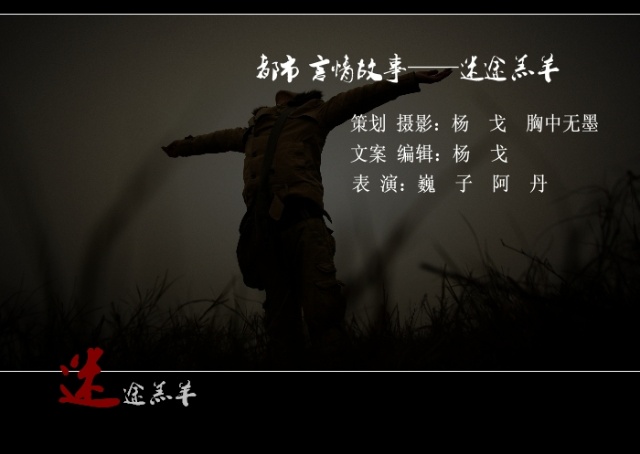 迷途羔羊入农户，生肖谜题里的文化密码与时代回响