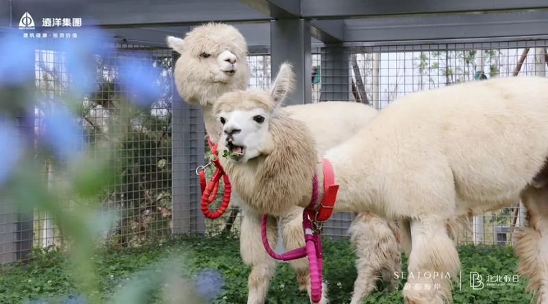 犄角冲天性温顺，猜一精准生肖，深入解答、专家解读与现实落实