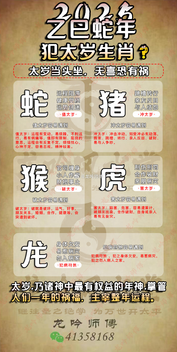 马上坐着食蛇客生肖谜解，鸡生肖品质深度解读与专家实践指南