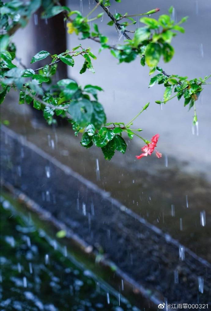 梦入春雨昼眠时,从风月三年宋玉墙看生肖兔的精神内核与现实观照 梦入春雨昼眠时,从风月三年宋玉墙看生肖兔的精神内核与现实观照