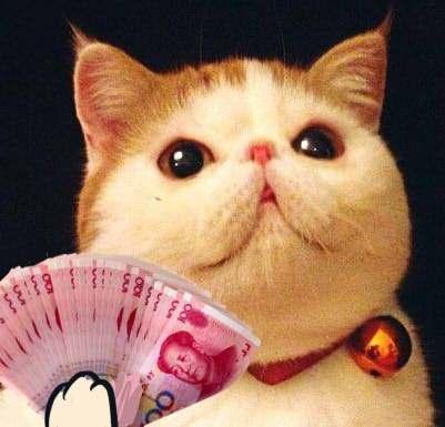 有人问我这因依，重话符离问旧游—生肖谜题的文化溯源与精准答案解析