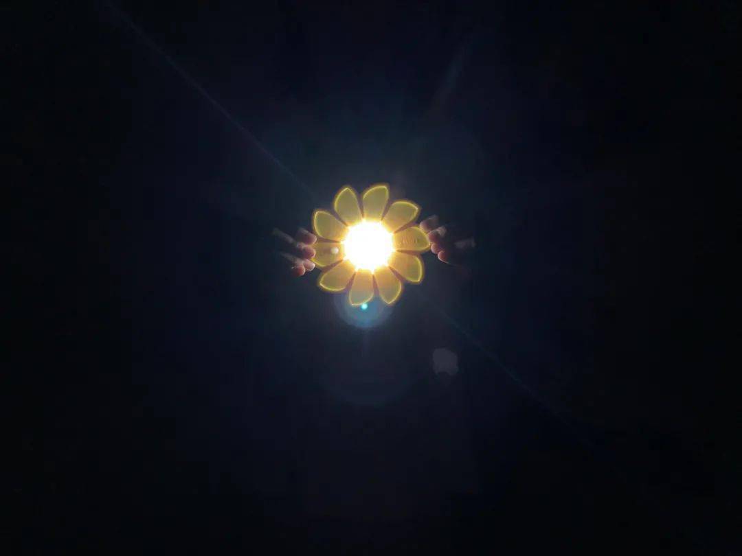 月作明灯夜夜光,生肖兔的隐藏痛点与破局指南 月作明灯夜夜光,生肖兔的隐藏痛点与破局指南