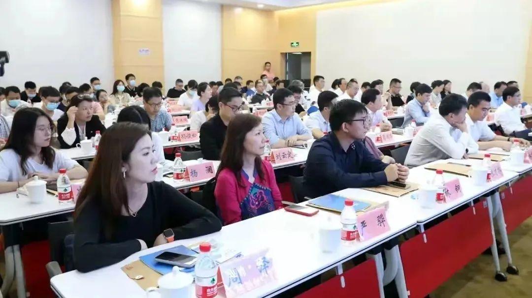 伯乐慧眼识良驹，精准生肖解谜的技术逻辑、专家解析与实践路径