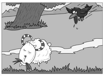 鸡飞羊跳野狼追，天凤飞上蓝天飘，解锁生肖谜题背后的文化密码与现实启示