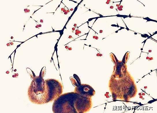 争得江南别有名，为将双泪问春风生肖兔解谜，痛点剖析、专家解读与承诺闭环落地