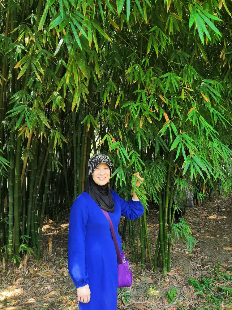 松竹为邻柳作伴,从松竹相亲旧栽与归期及柳依依解码生肖之秘 松竹为邻柳作伴,从松竹相亲旧栽与归期及柳依依解码生肖之秘