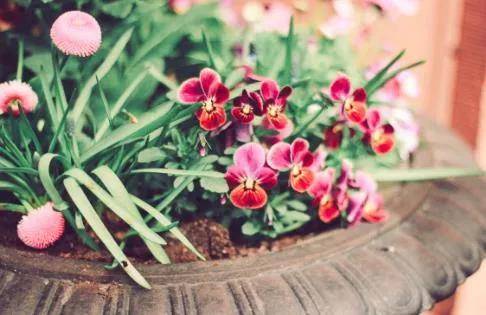 枕上分明梦见，在梦与醒的边缘，照见未被言说的自己