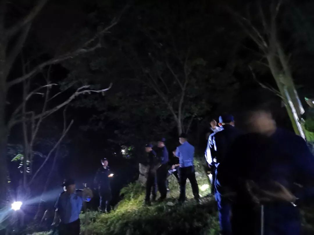 深山风动三更夜,解码生肖虎的玄机与文化落地 深山风动三更夜,解码生肖虎的玄机与文化落地