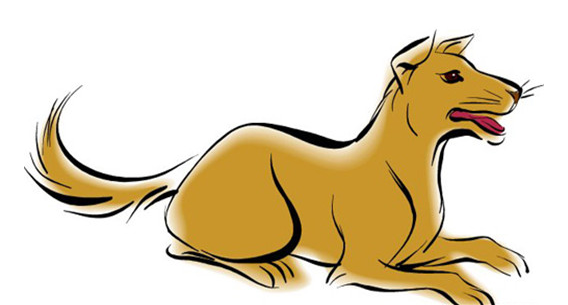 伞期鼠狗蛇出特与生肖认知，从文化寓意到理性规避不实诱导的深度解析