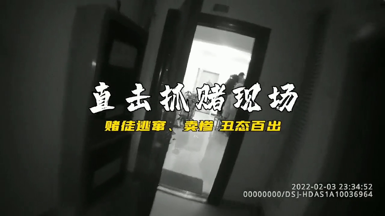 揭穿生肖特码骗局，从龙马兔出特到箕星光倍正，远离赌博迷雾