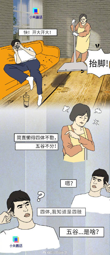 四体不勤在家中，红红眼睛吃绿草生肖谜底解析，文化寓意、科学解读与理性认知指南