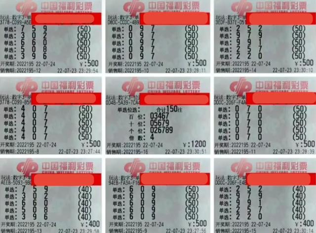 生肖彩票术语解析与理性引导，从绝杀兔虎到远离赌博诱惑