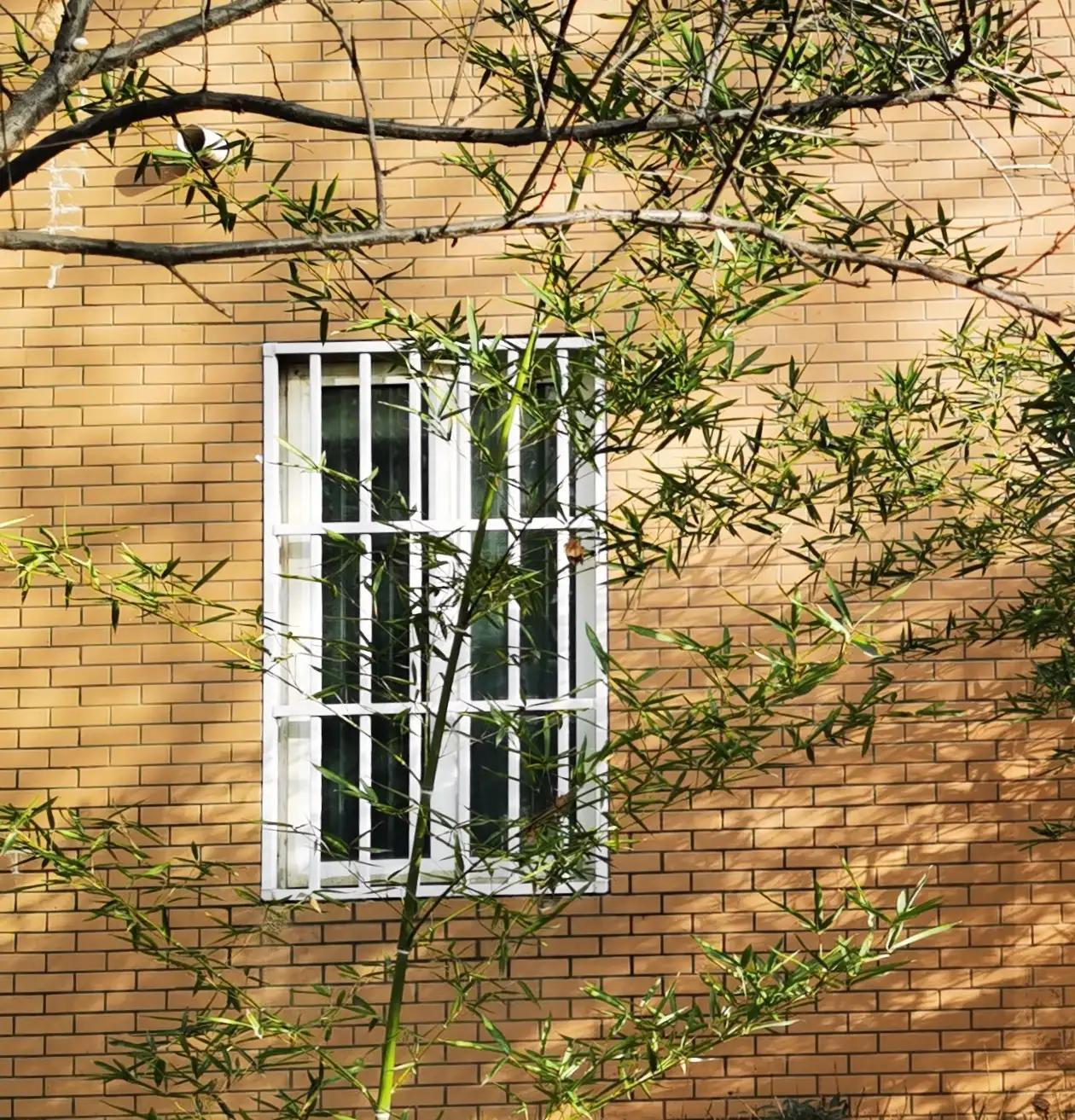 觉来知是梦，不胜悲，生肖兔的情劫隐喻与现实破局之道