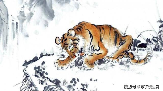 火劫虎踪现，生肖玄机藏—解析森林大火烧满天，趋火打劫虎出行的生肖密码