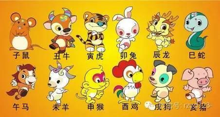 精准生肖背后的假意与真相,警惕伪宣传陷阱,听专家解读如何规避不实诱导 精准生肖背后的假意与真相,警惕伪宣传陷阱,听专家解读如何规避不实诱导