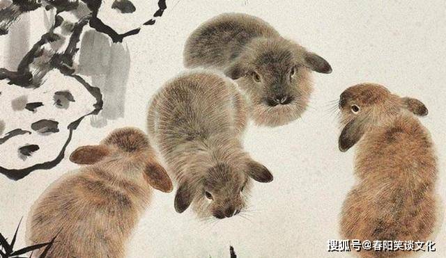 四大才子要人捧，兔生肖的新颖释义与专家深度解析及现代落实