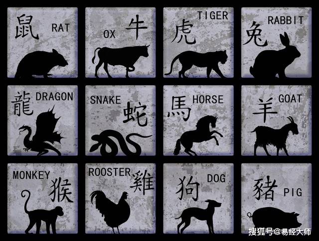 红红蓝双杀蓝单深度解码，牛狗羊猪中本期精准生肖的条理释义与专家解析落实