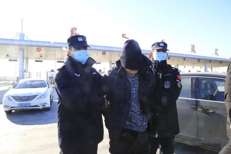 柳藤飘飘柳叶绿,民生关切下的动态解答与政策落地的温度 柳藤飘飘柳叶绿,民生关切下的动态解答与政策落地的温度