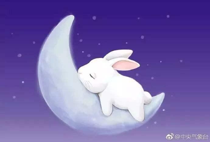 东三西七变通处，玉虎稳踞安四方—精准生肖技术释义与专家解读的落地实践