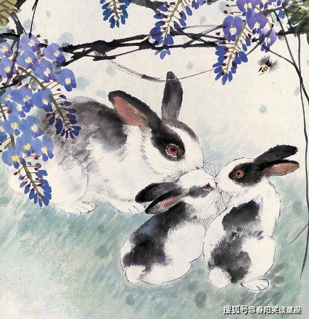 争得江南别有名，为将双泪问春风生肖兔解谜，痛点剖析、专家解读与承诺闭环落地
