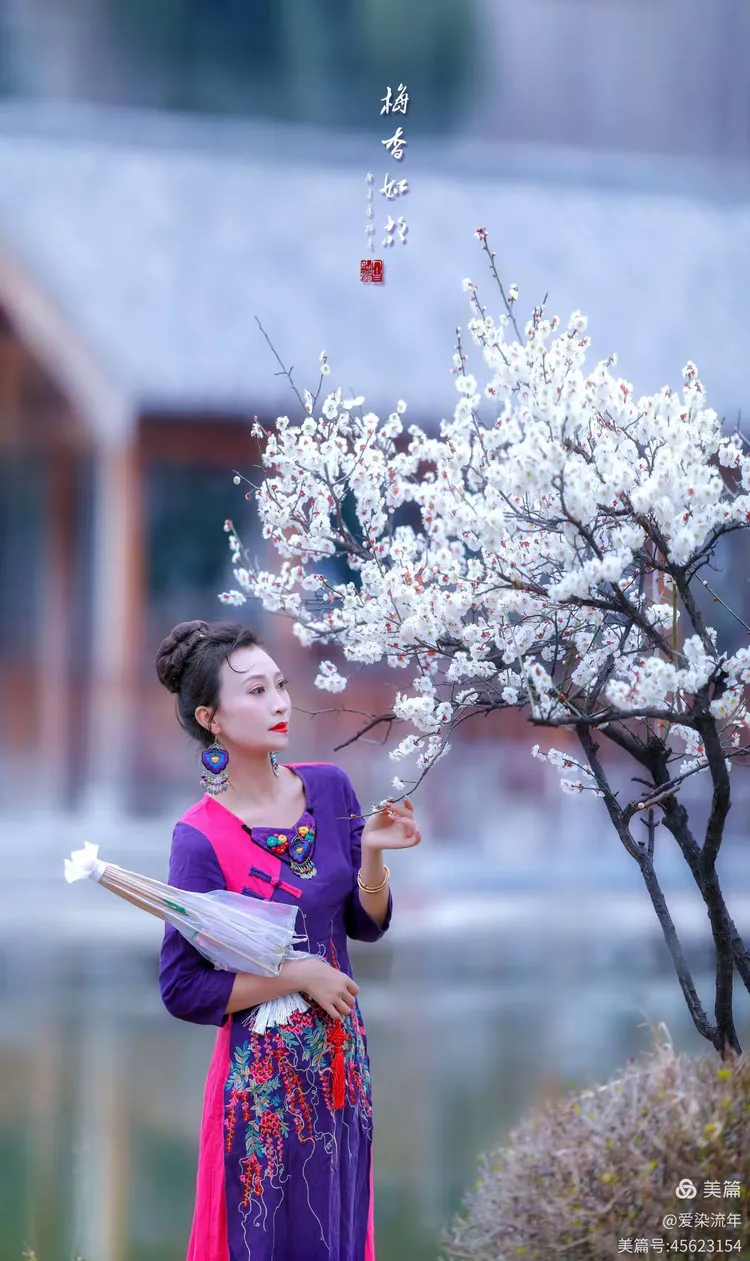 笛韵梅魂映朱轮—从笛愁春尽梅花里，瞻望朱轮骈鼓吹解码生肖龙的文化意蕴