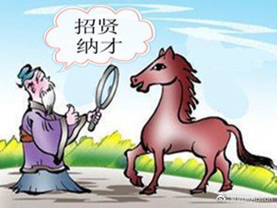 伯乐慧眼识良驹，精准生肖技术的释义、实践与理性认知