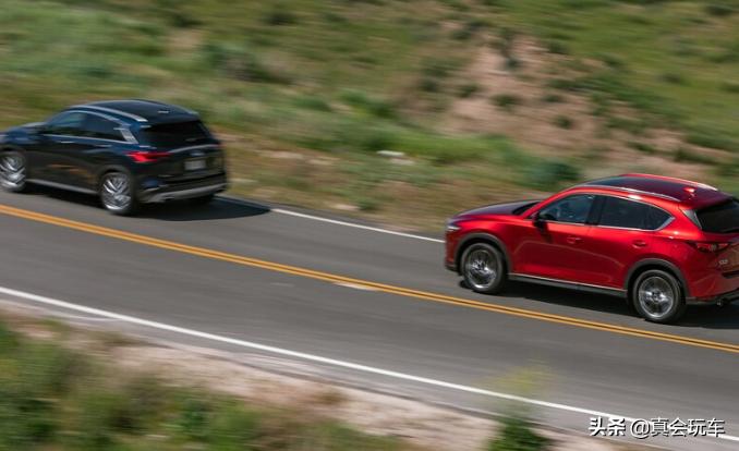 生肖文化的理性之维，谜语解析、精准落实与虚假标榜的防范