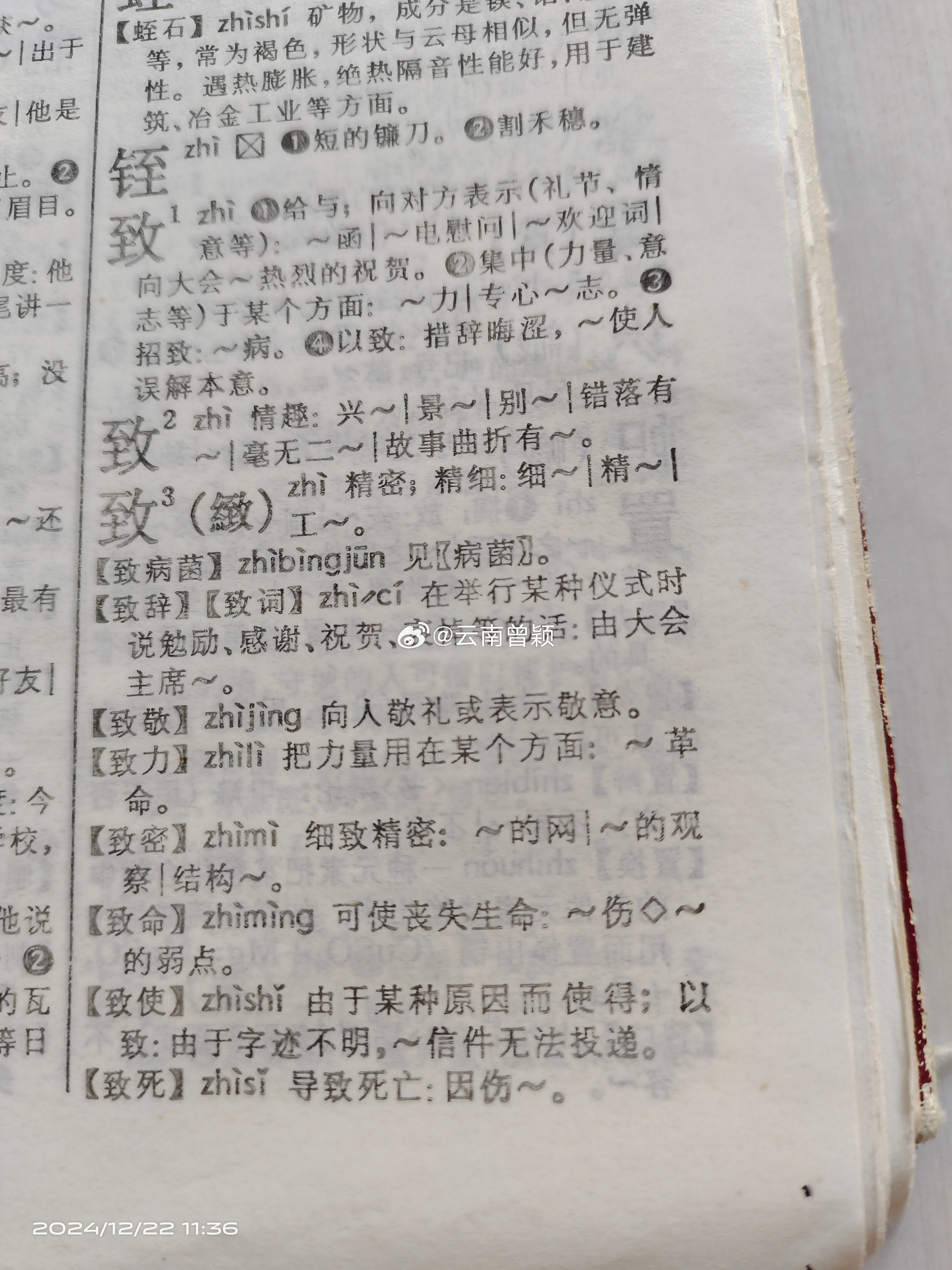 江山倍有才人出,技术视角下的人才生态构建—释义、解析与落实 江山倍有才人出,技术视角下的人才生态构建—释义、解析与落实