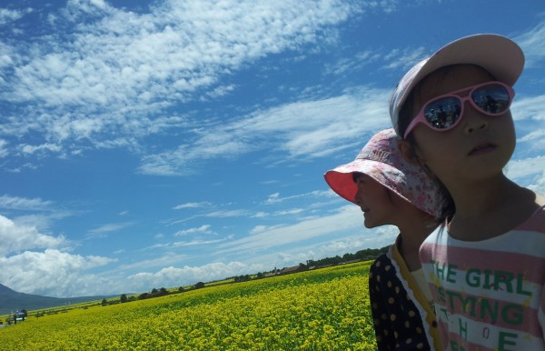 迷途羔羊入农户，生肖谜题里的文化密码与时代回响