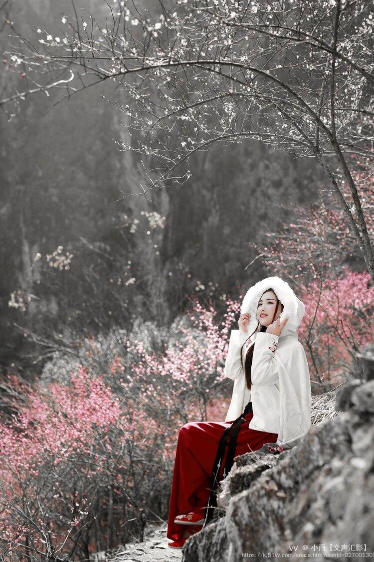 笛韵梅魂映朱轮—从笛愁春尽梅花里，瞻望朱轮骈鼓吹解码生肖龙的文化意蕴