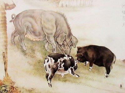 红红蓝双杀蓝单解密，牛狗羊猪中本期精准生肖深入解析与专家解读