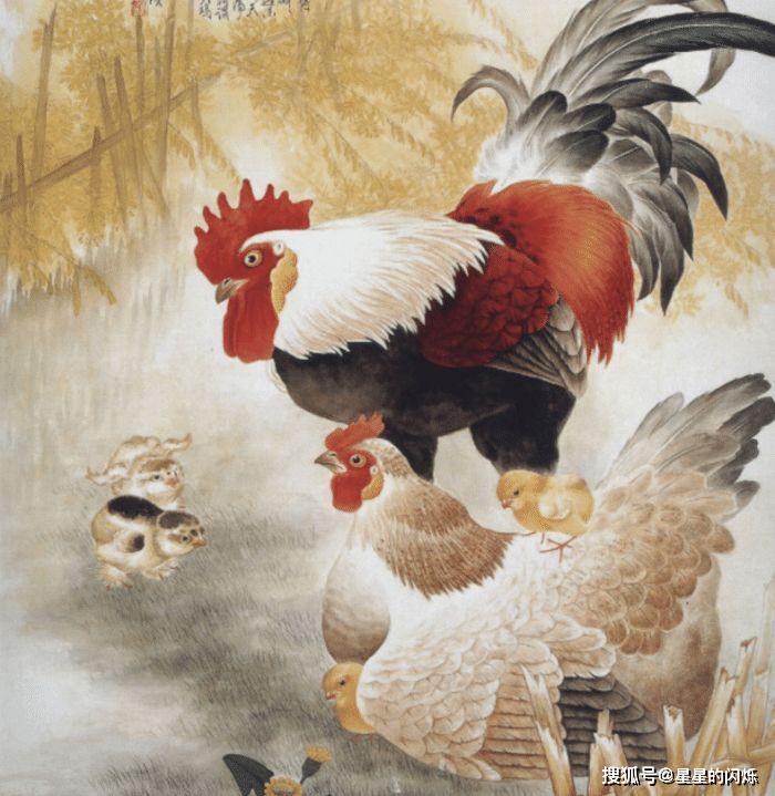 语多时藏生肖密码，解码属鸡者的表达基因与文化深意